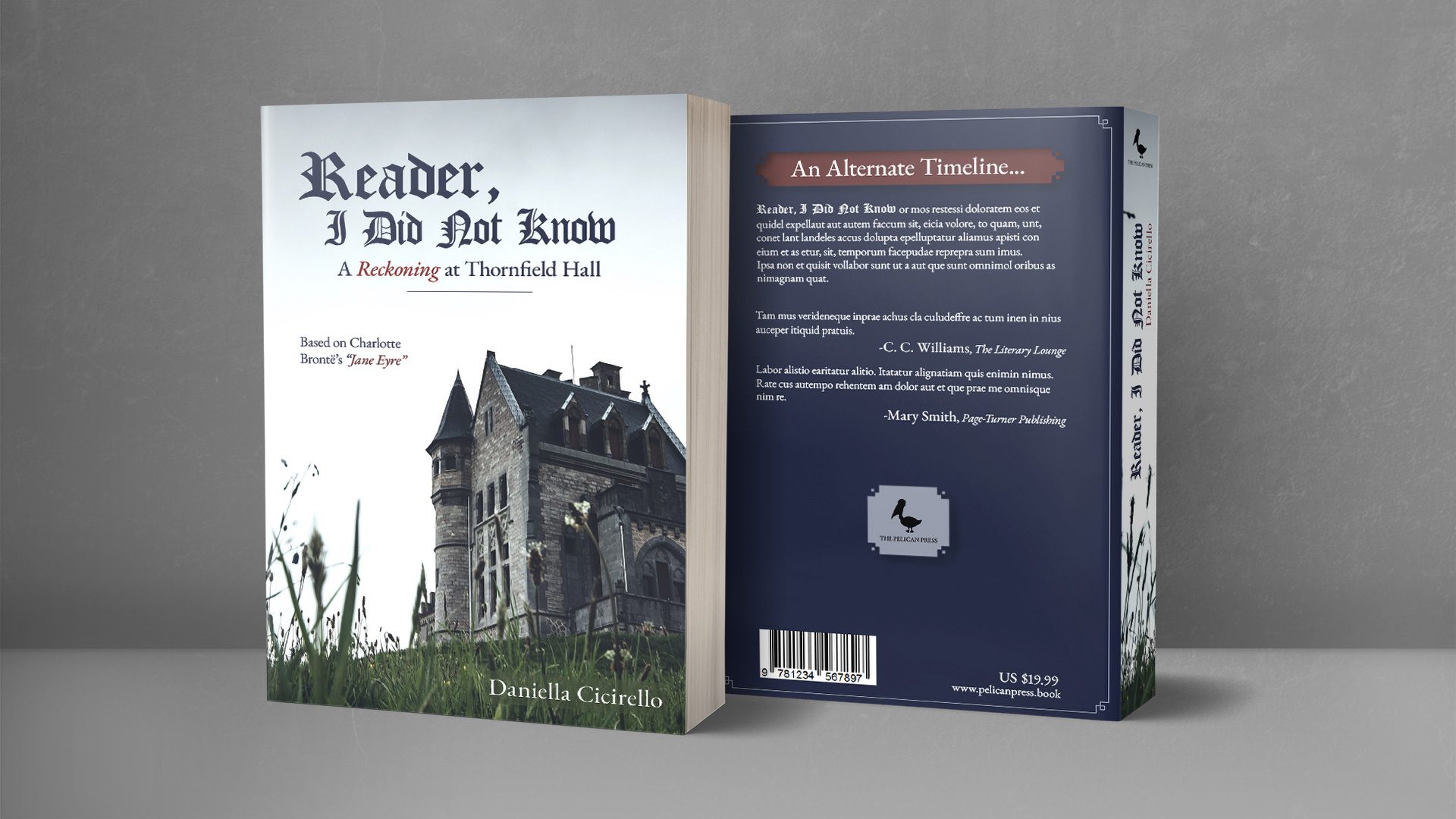 Reader, I Did Not Know book cover showing a beige and gray castle on a cloudy day on the front cover. The back cover is a dark blue background with a dark red titles describing the book and reviews.